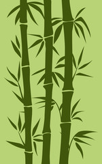 Bamboo tree illustration