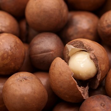 Macadamian&uuml;sse