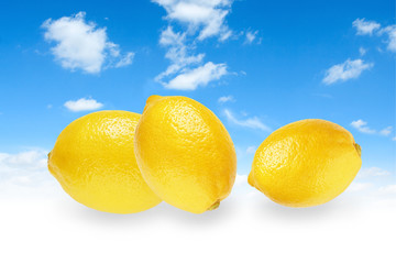 Three yellow lemons