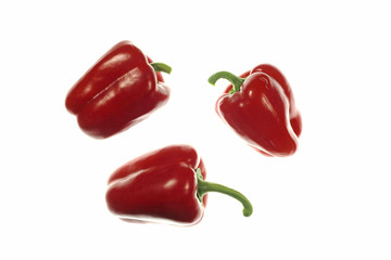 Paprika