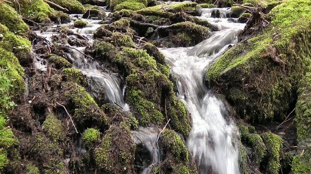 Wasserfall im Wald - Video - Waterfall in Forest