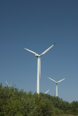 Fototapeta premium wind turbine in Canada