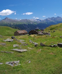Fototapeta na wymiar Alpejski Park Narodowy Vanoise - Sabaudia