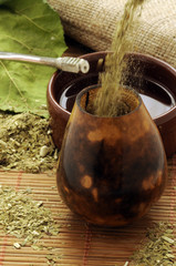 Yerba mate