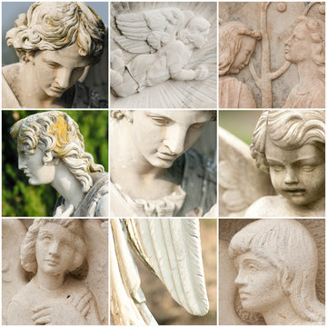 collage angeli