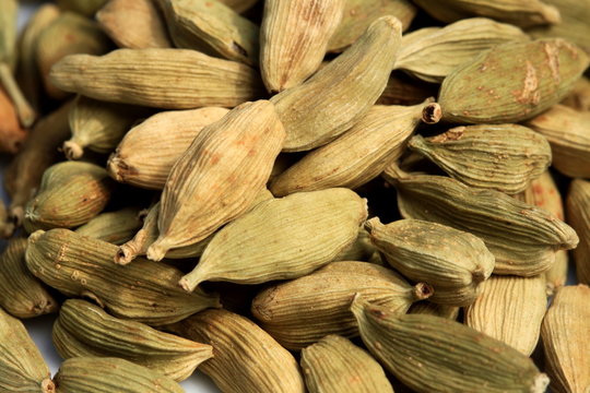 Cardamomo