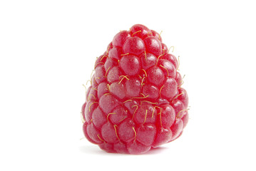 raspberry