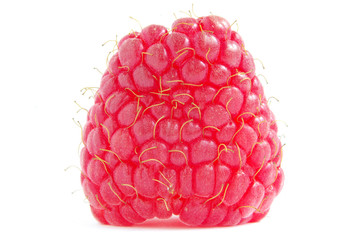 raspberry