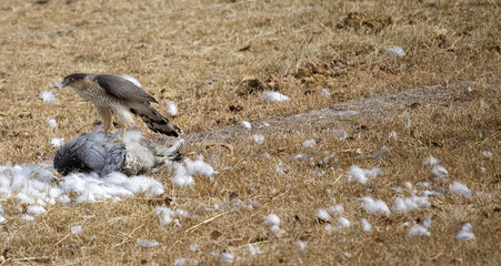 Obraz premium End of the line