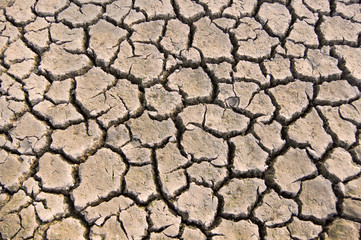 cracked dried earth surface,Rajasthan,India