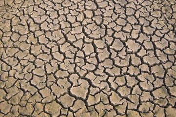 cracked dried earth surface, Rajasthan, India