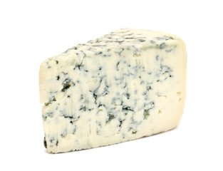 Piece of cheese with mold