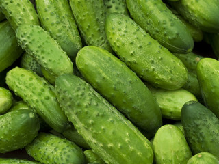Cucumbers
