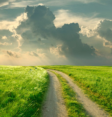 Summer landscape with green grass, road and clouds