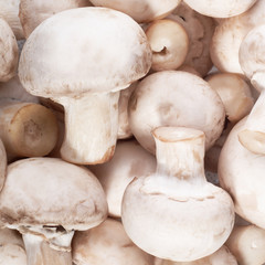 mushrooms