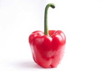 red pepper on white background
