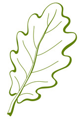 Fototapeta premium Leaf of oak tree 3, pictogram