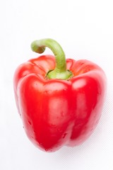 red pepper on white background