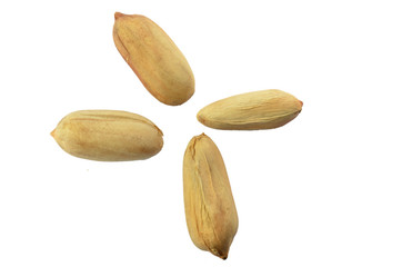 Roasted peanut on white background