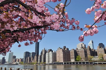 Papier Peint photo autocollant Lieux américains New York City Skyline & Cherry blossoms.