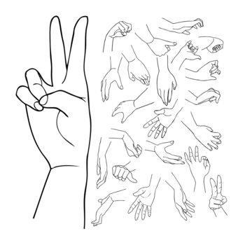 hands, vector set