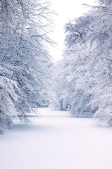 Winter in Bürgerpark Bremen, Germany