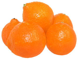 Tangerine