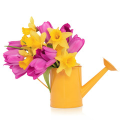 Spring Flower Beauty © marilyn barbone