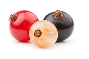 currant