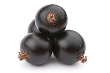 currant