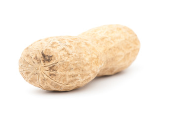 Peanut