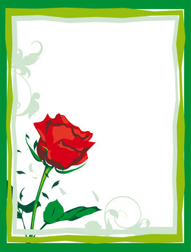 rosa fondo