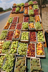 Frutta e verdure per le strade della Libia