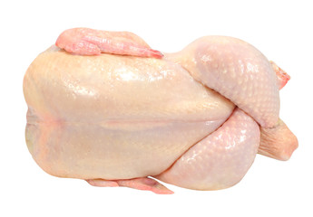 fresh chicken isolated © belinka