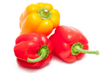 Paprika