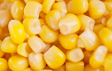 macro shot of corn