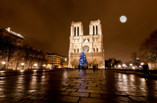 Fototapeta The famous Notre Dame at night in Paris