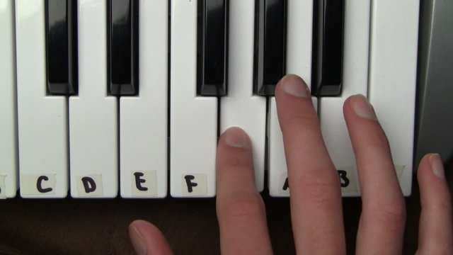 Piano Keyboard Synth Keys
