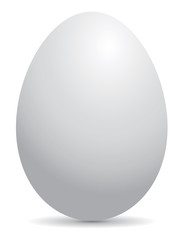 white egg, vector