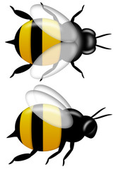 Bumble Bee Top and Side View Isolated on White