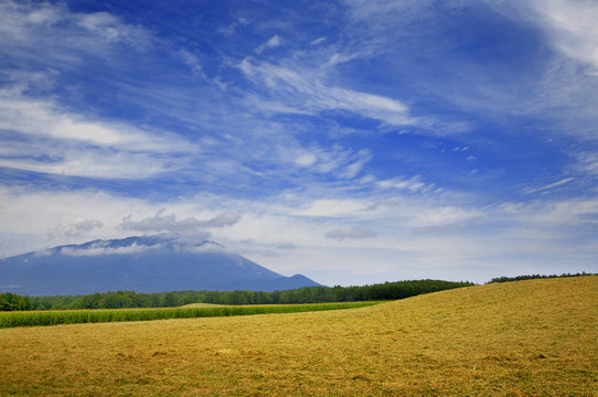 landscape of Iwate Mountain,Japan