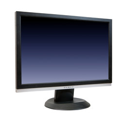 LCD monitor