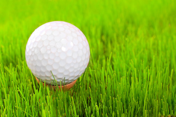 Golf ball on tee over a  green.