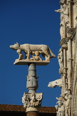 Siena,  Duomo, dettaglio