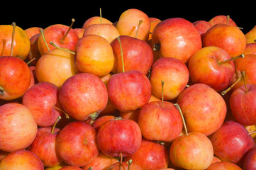 Apples 26