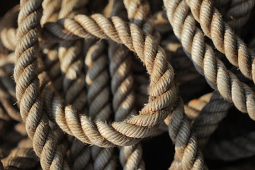 Tangled rope closeup