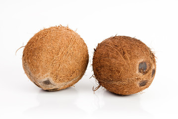 coconut