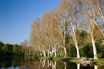 Schlossgarten Stuttgart