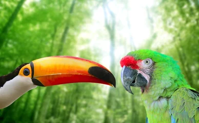 Poster Toco toucan and Military Macaw Green parrot © lunamarina