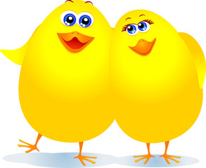 Pulcini abbracciati - Chicks embraced